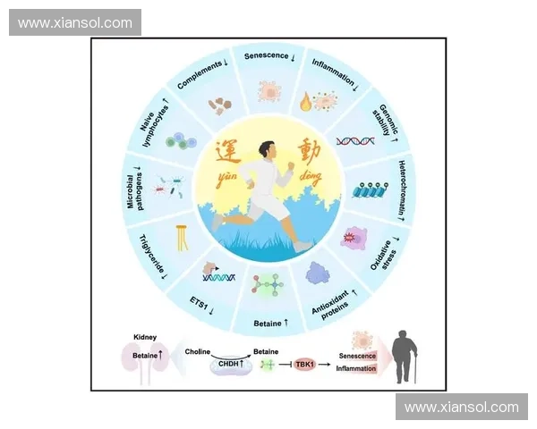 运动生理视角下人体能量代谢与运动表现关系研究 运动生理视角下人体能量代谢与运动表现关系研究